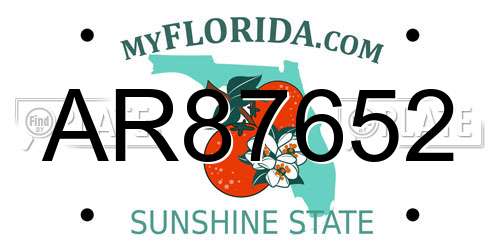 AR87652 Florida License Plate
