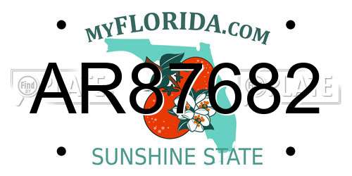 AR87682 Florida License Plate