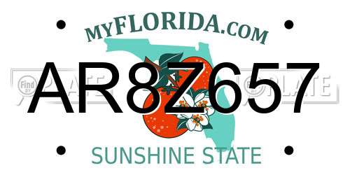 AR8Z657 Florida License Plate