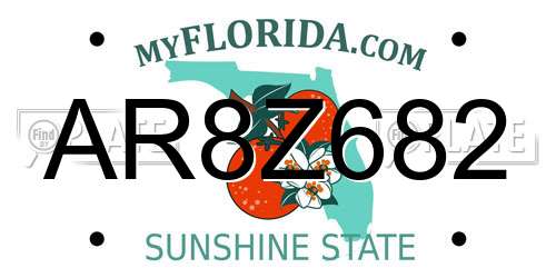 AR8Z682 Florida License Plate
