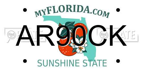 AR90CK Florida License Plate