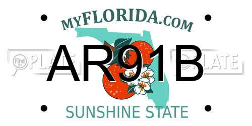 AR91B Florida License Plate