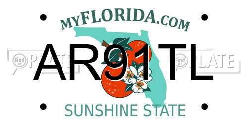 AR91TL Florida License Plate