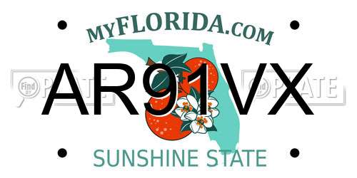 AR91VX Florida License Plate