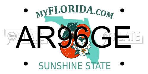 AR96GE Florida License Plate