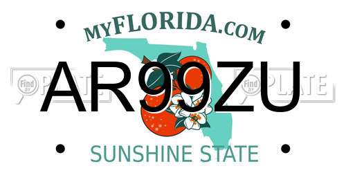 AR99ZU Florida License Plate