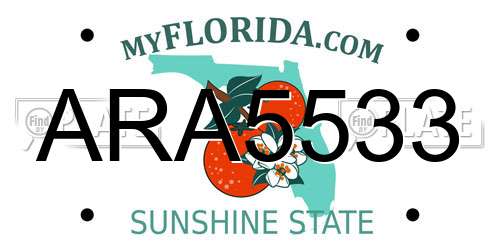 ARA5533 Florida License Plate