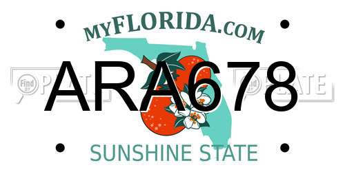 ARA678 Florida License Plate
