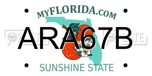 ARA67B Florida License Plate