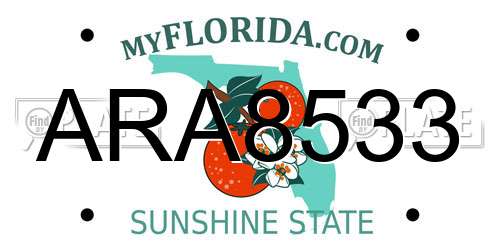 ARA8533 Florida License Plate