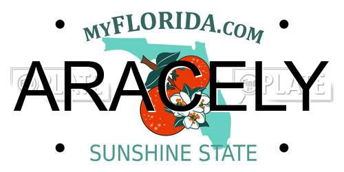 ARACELY Florida License Plate