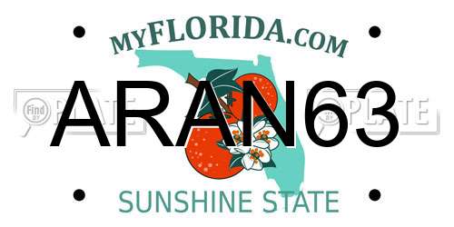 ARAN63 Florida License Plate