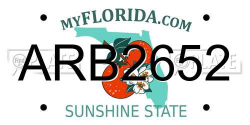 ARB2652 Florida License Plate