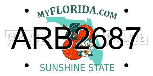 ARB2687 Florida License Plate