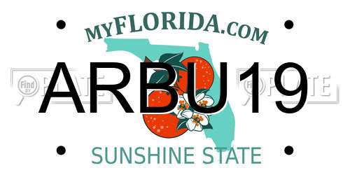 ARBU19 Florida License Plate