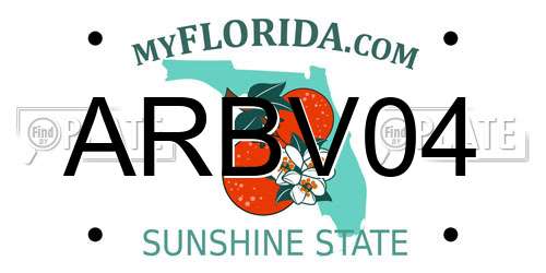 ARBV04 Florida License Plate