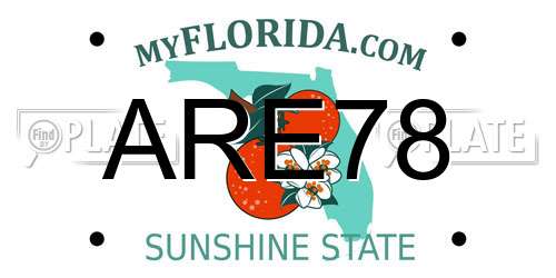 ARE78 Florida License Plate