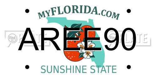 AREE90 Florida License Plate