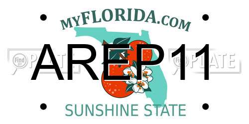 AREP11 Florida License Plate