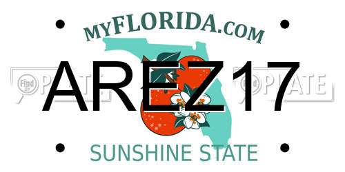 AREZ17 Florida License Plate