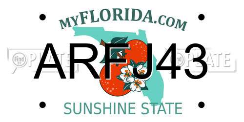 ARFJ43 Florida License Plate