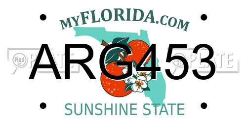 ARG453 Florida License Plate