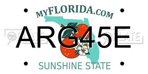 ARG45E Florida License Plate