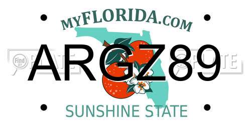 ARGZ89 Florida License Plate