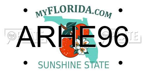 ARHE96 Florida License Plate