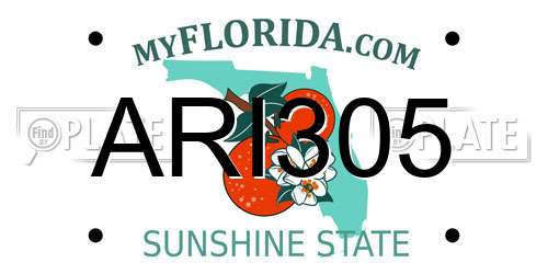 ARI305 Florida License Plate