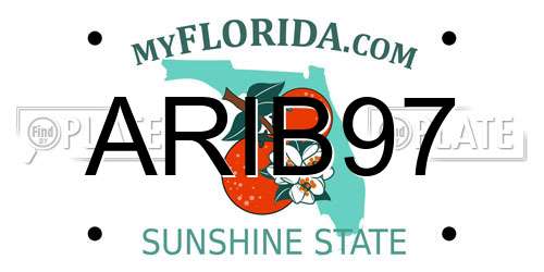 ARIB97 Florida License Plate