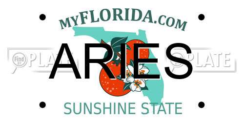 ARIES Florida License Plate