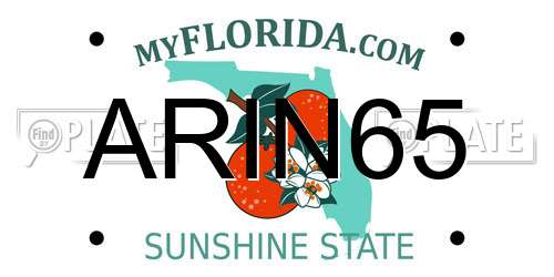 ARIN65 Florida License Plate