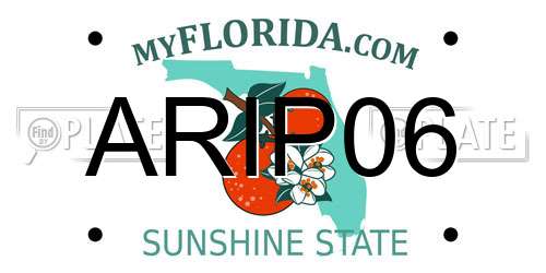ARIP06 Florida License Plate