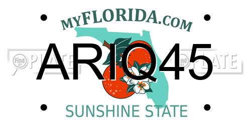 ARIQ45 Florida License Plate