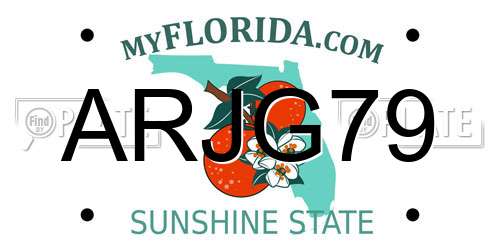 ARJG79 Florida License Plate