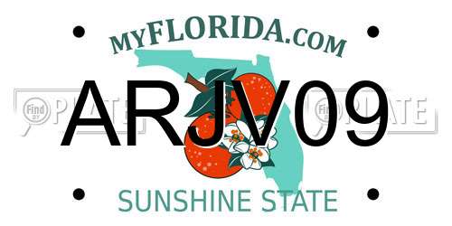 ARJV09 Florida License Plate