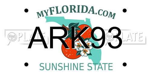 ARK93 Florida License Plate