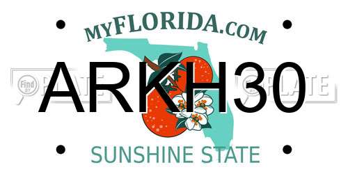 ARKH30 Florida License Plate