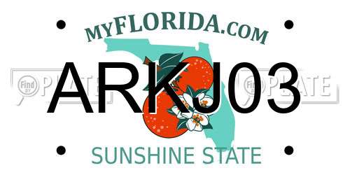 ARKJ03 Florida License Plate