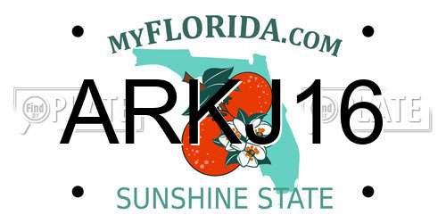 ARKJ16 Florida License Plate