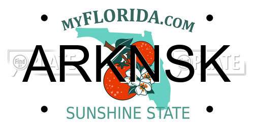 ARKNSK Florida License Plate
