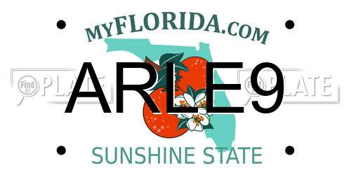ARLE9 Florida License Plate