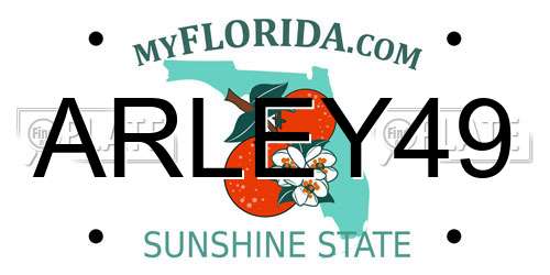ARLEY49 Florida License Plate