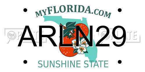 ARLN29 Florida License Plate