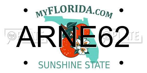 ARNE62 Florida License Plate