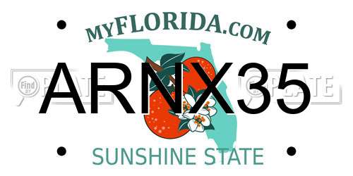 ARNX35 Florida License Plate