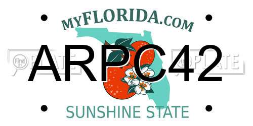 ARPC42 Florida License Plate