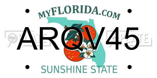 ARQV45 Florida License Plate