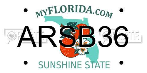 ARSB36 Florida License Plate